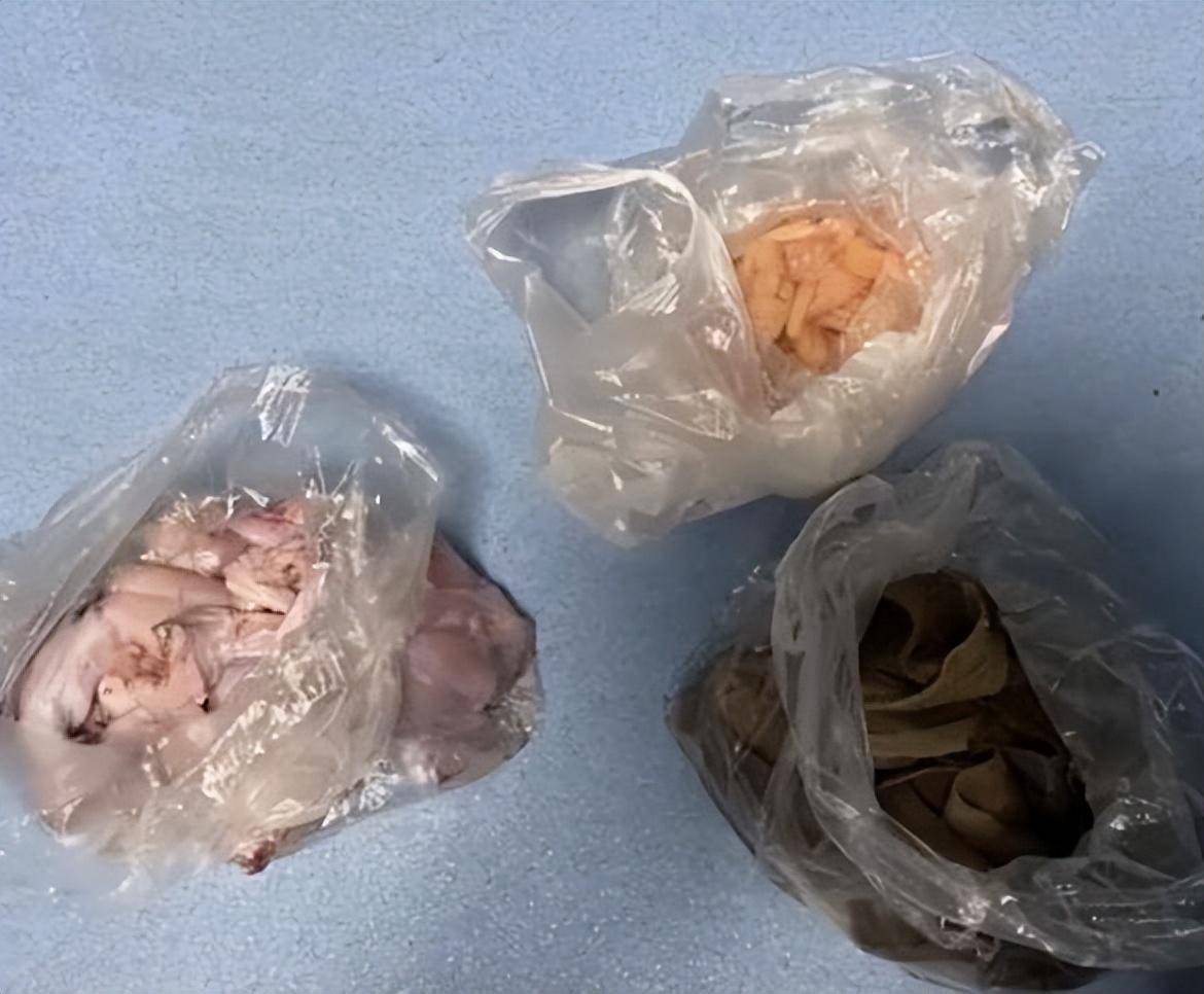 两女子为吃自助餐回本偷偷打包被行拘（两女子吃自助被收四人餐费 监控还原现场无语一幕）