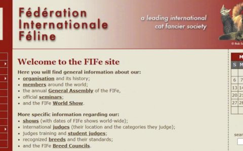 制裁蔓延到俄罗斯境内的猫了……网友：啥时候制裁俄罗斯方块？（俄罗斯活该被制裁）