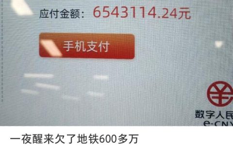 一夜醒来欠地铁600多万？当事人：发帖原意是想寻求更多帮助（一夜醒来头晕的厉害）