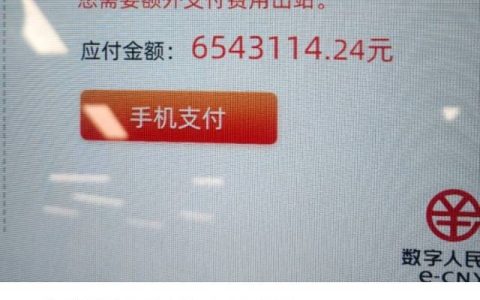 乘客“一夜醒来欠了地铁600多万”？广州地铁回应：已指引乘客出站（广州地铁 事件）