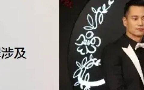 安以轩老公犯罪涉及金额高达309亿与自驾阿姨苏敏中秋回家后决定离婚（安以轩老公几几年出生）