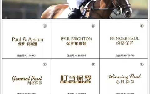 买一个25类男装商标需要多少钱？商标转让流程怎么样？-服装商标25类和35类的区别