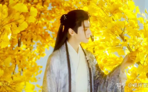 罗云熙的《长月烬明》有哪些惊艳的造型？（长月烬明小说原版免费阅读）