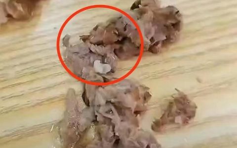 女子称吃黄焖排骨发现满嘴是蛆，总部：涉事门店已责令停业，肉类为门店自行采购（黄焖排骨是什么肉做的）