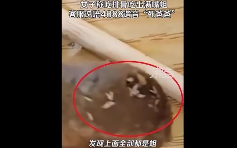 太可恶了！女子称吃黄焖排骨发现满嘴是蛆，总部居然做出这样回应（排骨里面有虫怎么办）