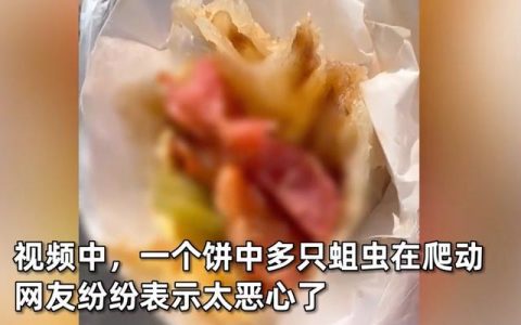 顾客买肉饼咬下去发现全是活蛆，商家：赔偿10元，网友怒了（肉饼坏了是什么味道）