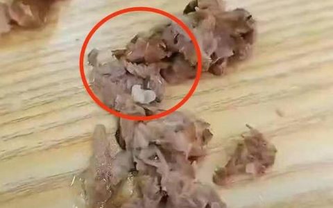 女子称吃黄焖排骨发现满嘴是蛆，总部：肉类为门店自行采购（黄焖排骨用的什么排骨）