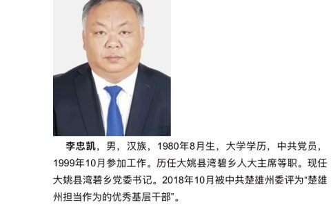 80后白头干部刷屏！脱发的年轻人得当心了……（80后白头发基层干部）