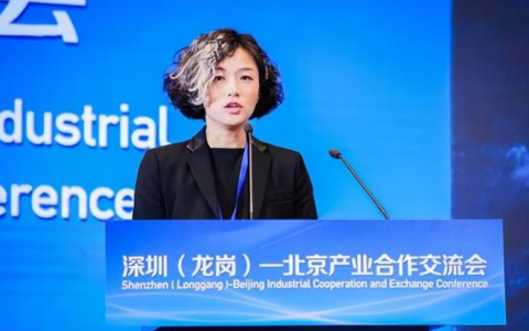 热搜！深圳女副区长一撮白发被指挑染，官方：自然现象，很正常（深圳唯一女区长）