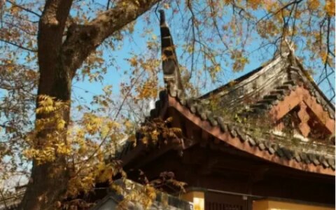 鸡鸣寺游客爆满设反悔门，网友：我佛果然慈悲，还给反悔的机会（鸡鸣寺官方回应）