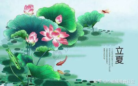 ​“立夏一碗汤，不劳医生帮”，这6款汤水要多喝，生津开胃又解暑