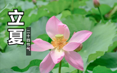 5月6日立夏，老话“立夏吃3宝，不往医院跑”，指啥？老传统别忘-2021年夏至是几月几号