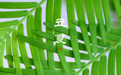 “立夏吃5食，不劳郎中忙”！应季而食多受益，平安入夏少生病