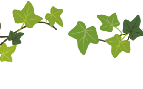 立夏吃什么【附兴华学校第11周食谱】-夏至吃什么食物?