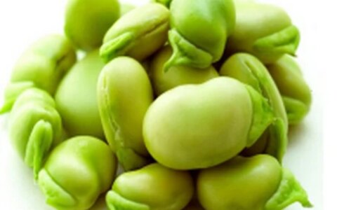 立夏吃什么？记得吃“立夏三鲜”，舒服过夏天-春天适合吃的16种蔬菜