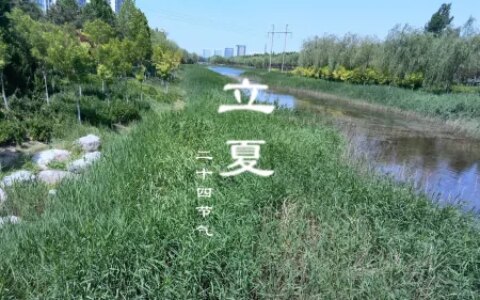 明日立夏，再忙也要记得吃5样，寓意健康又平安，老传统需传承！-明日立冬时间