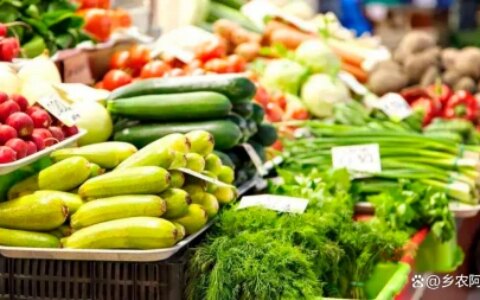 立夏后，这5种应季菜别错过，第五种大多数人不知道-包菜季节