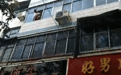 5楼扔下两个孩子得救！自己却不幸身亡……感动全国网友的27岁母亲是咱河北人（十五楼扔下两个孩子视频）