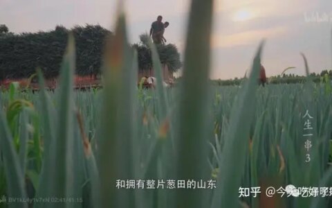 如何评价纪录片《人生一串》第三季第一期？你最难忘的一次吃串经历是什么？（人生一串第3季）