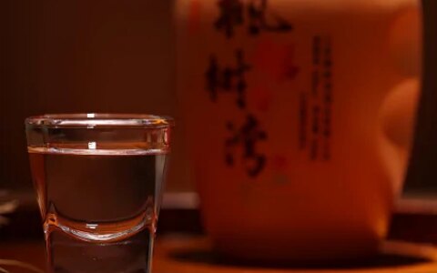 白酒瓶带有这个标号的，别管多便宜，都是十足的粮食酒！-白酒瓶型设计图片