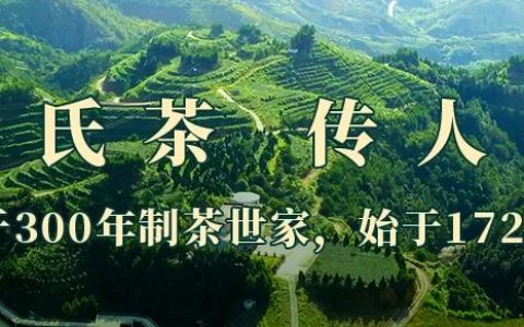 红茶中的“软黄金”-软黄金茶叶多少钱一包