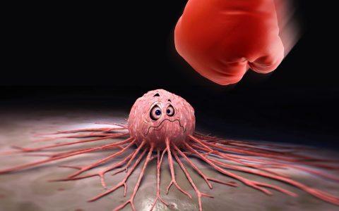 赵忠祥因鳞状细胞癌病逝 这种恶性肿瘤常见于老年人-赵忠祥病种