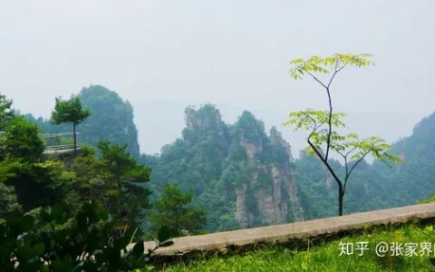张家界三日游攻略，三天时间玩遍张家界核心景点，不虚此行！-张家界三日游路线攻略大全