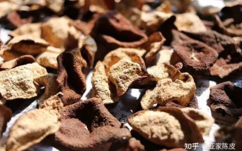 陈皮有什么功效？（新会陈皮有什么功效,有什么东西可以代替呢）