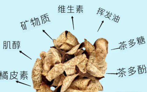 陈皮的功效与作用（女人长期喝陈皮水好吗）