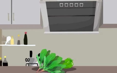 十大抽油烟机品牌排行榜-十大抽油烟机品牌排行榜最新图片