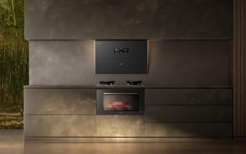 排名前十的集成灶提高烹饪效率，制作丰盛美食-集成灶产品推荐榜