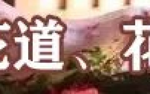 十大盆景名贵树种有哪些？盘点十大盆景名贵树种-名贵的盆景植物