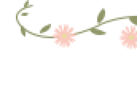 这些普通的盆栽绿植品种很多，有些小众的品种反而更耐看-哪种小盆栽好养活且观赏性强