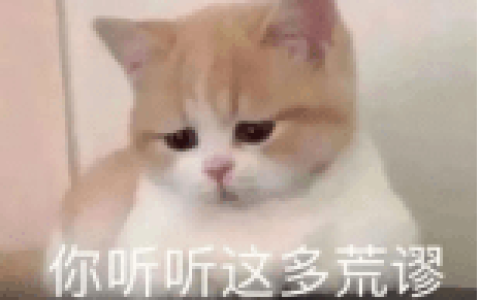 低价绿植、香菜盆栽…14块9就能把春天带回家-盆栽香菜施什么肥料好