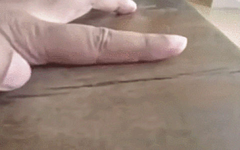 慎看：床虱子，对人的体温有多敏感？-床虱怕热吗