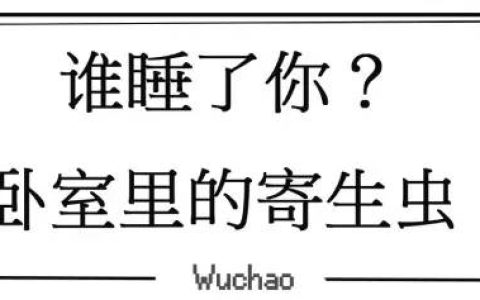 谁在卧室睡了你？除了枕边爱人，可能还有它们……-谁在房间里
