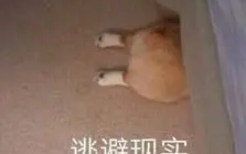 如何判断床上有没有螨虫？-怎么判断床上是否有螨虫