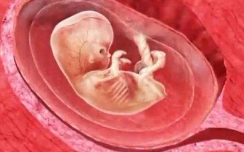 胎宝宝的三个关键发育期，孕妈妈一定要把握好（胎儿发育分为哪几个阶段）