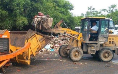 以前困扰农村人的虱子，现在已经很少见了？原因其实很简单-虱子是什么物种