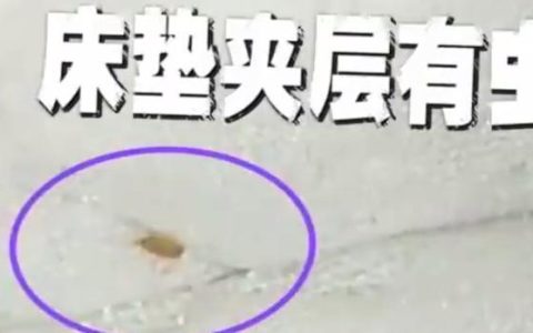 只要躺下就有东西蠕动，打开床垫一看女子崩溃：浑身都起鸡皮疙瘩-躺下不动感觉有小虫在爬一样的感觉