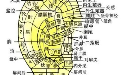 牙疼，头疼、失眠的小病 介绍一套见效最快的耳部自我按摩方法-如何缓解牙痛带来的头疼和耳朵疼