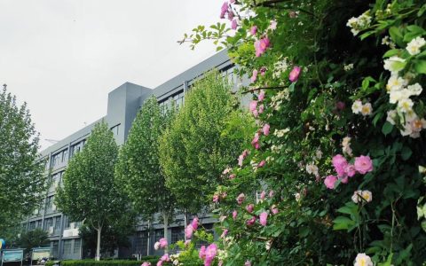 郑州1老师漏掉15名学生对口高考报名，是老师疏忽还是另有隐情？（2020郑州对口高考分数线）