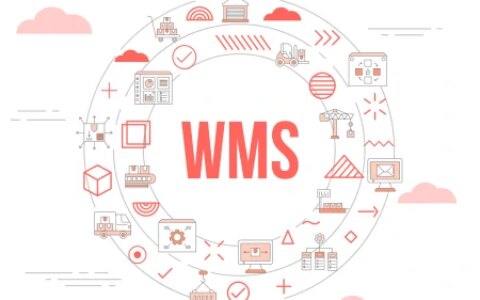 拥抱数字化物流管理：WMS和TMS的作用和区别（物流软件wms是什么）