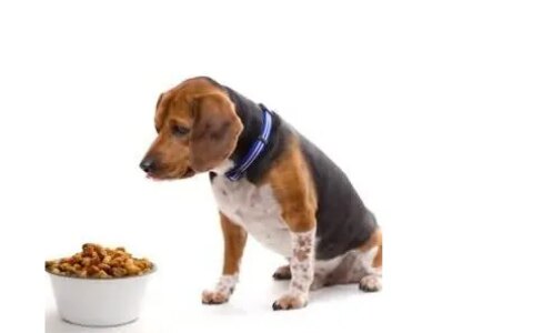 如何正确选择咨询机构和认证机构（认证咨询机构）