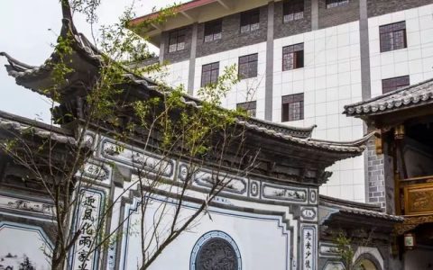 云南景谷白龙茶业股份有限公司企业介绍-景谷白龙野生熟茶