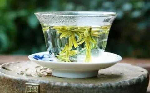 什么茶叶更好喝？推荐一下性价比高而且好喝的茶！-哪一种茶叶比较好