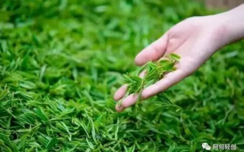 不用打工，月入十几万的赚钱路子-月入十万的兼职有哪些