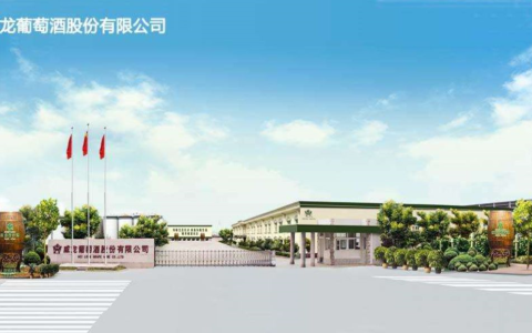 注销浙江销售公司 抵押土地、设备，威龙股份再生变动！-浙江威龙矿业