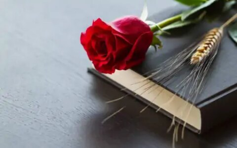 5月12日时来运转，财神天降，鸿运当头，咸鱼变大富豪四生肖（5月12日财神方位查询）