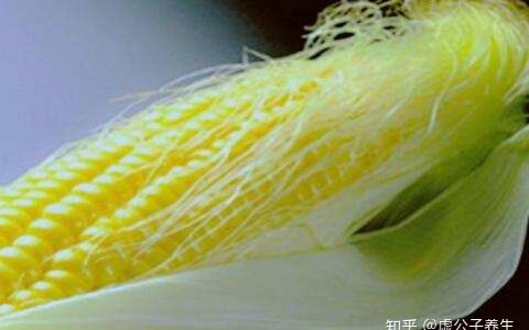 玉米须煮水喝的9大奇效-玉米须最好的搭配是谁